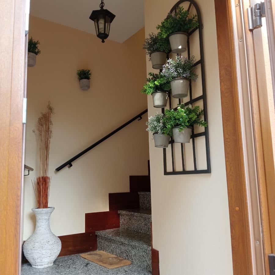 Casa Di Dario Villa Pettenasco Exterior foto